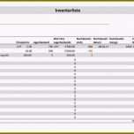 Fantastisch 10 Inventur Vorlage Excel