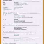 Fantastisch 11 Lebenslauf Ausbildung Vorlage Word