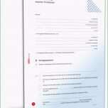 Fantastisch 11 Spendenscheck Vorlage Kostenlos