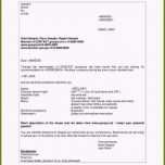 Fantastisch 11 Vorlage Anfrage