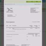 Fantastisch 13 Programm Zum Rechnungen Schreiben