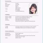 Fantastisch 14 Tabellarischer Lebenslauf Muster Kostenlos
