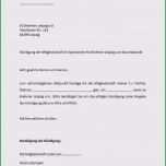 Fantastisch 14 Vorlage Kündigung Sportverein