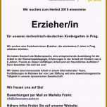 Fantastisch 14 Vorlage Stellenanzeige