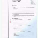 Fantastisch 15 Eröffnungsbilanz Ug Vorlage