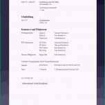 Fantastisch 15 Lebenslauf Praktikum 9 Klasse Muster