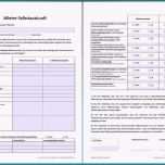 Fantastisch 15 Mieterselbstauskunft Vorlage