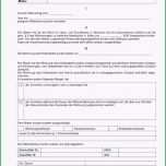 Fantastisch 15 Pflegedokumentation Vorlage