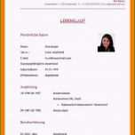 Fantastisch 15 Vorlagen Steckbrief