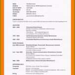 Fantastisch 16 Englisch Cv Vorlage