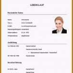 Fantastisch 16 Lebenslauf Praktikum Student Muster