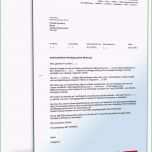 Fantastisch 16 ordentliche Außerordentliche Kündigung