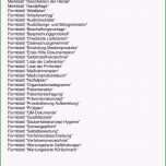 Fantastisch 17 Arbeitsanweisung Muster Kostenlos