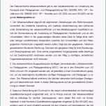 Fantastisch 19 Beispiel Stellungnahme