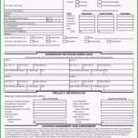 Fantastisch 20 Kündigung Lebensversicherung Vorlage