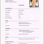 Fantastisch 21 Chronologischer Lebenslauf