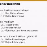 Fantastisch 8 Abschlussbericht Praktikum Vorlage