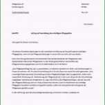 Fantastisch Antrag Auf Ratenzahlung Amtsgericht Vorlage Bewundernswert