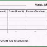 Fantastisch Aufzeichnungspflicht Minijob Vorlage Beste
