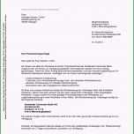 Fantastisch Ausweis Vorlage Word