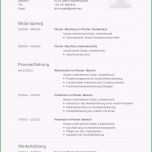 Fantastisch Bewerbung Reinigungskraft Vorlage Kostenlos Bewerbung