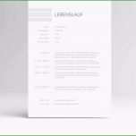 Fantastisch Bewerbung Und Lebenslauf Vorlage 25 Awesome Galerie