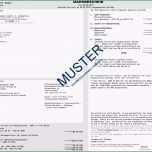 Fantastisch Bußgeld Ratenzahlung Muster