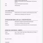 Fantastisch Chronologischer Lebenslauf Vorlage Kostenlos Ktforsenate