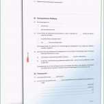 Fantastisch Einstellvertrag Pferd Rechtssicheres Muster Zum Download