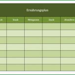 Fantastisch Ernährungsplan Als Excel Vorlagen