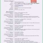 Fantastisch Europass Lebenslauf Vorlage