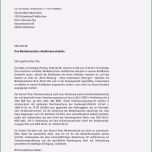 Fantastisch Fizieller Brief Vorlage Elegant Ein Brief Beispiel