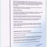 Fantastisch Freistellung Schule Vorlage