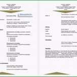 Fantastisch Gratis Bewerbung Spanisch Anschreiben Lebenslauf Vorlage