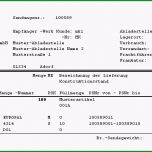 Fantastisch Herrmann Datensysteme Erzeugung Von Edi Versandpapieren