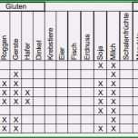 Fantastisch Hygieneplan Vorlage Angenehm Umsetzung Der Allergen