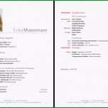 Fantastisch In Eine Bewerbung Gehört Ein Cv Doch Welches Findet Ihr