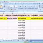 Fantastisch Koru Kosten Runter Excel Vorlage Verschwendung Kostenlos