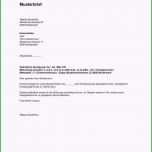 Fantastisch Kündigung Stromanbieter Vorlage Niedliche Kündigung