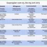 Fantastisch Kündigung Weight Watchers Vorlage Wunderbar Ernährungsplan