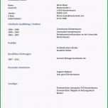 Fantastisch Lebenslauf Für Arbeitsstelle Lebenslauf Beispiel