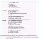 Fantastisch Lebenslauf Montagearbeiter Muster