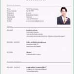 Fantastisch Lebenslauf Vorlage Klassisch &amp; Modern