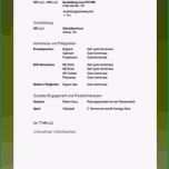 Fantastisch Lebenslauf Vorlage Schülerpraktikum Bewundernswert 11