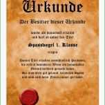 Fantastisch Lustige Sprüche Fun Tshirts Rate Mal Wer Dringend Ein