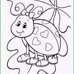 Fantastisch Marienkäfer Vorlage Zum Ausdrucken Beste Ausmalbilder Zum