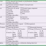 Fantastisch Mini Mental Status Checklist