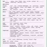 Fantastisch Mini Mental Test Vorlage