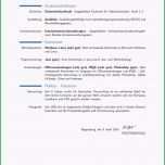 Fantastisch Moderne Vorlage Für Einen Lebenslauf Mit Lyx Latex