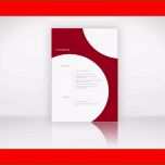 Fantastisch Musterbewerbung Vorlagen Bewerbung Agentur